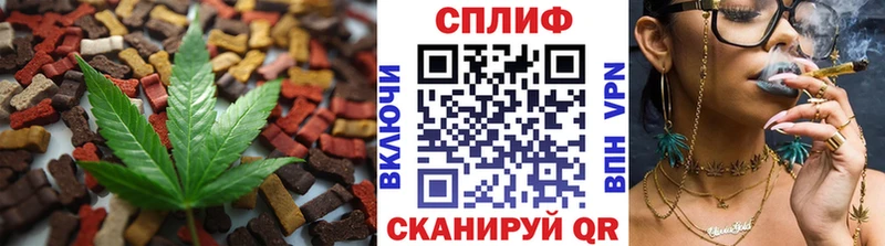 где найти наркотики  Жирновск  Еда ТГК марихуана 