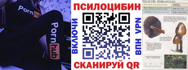 Галлюциногенные грибы мухоморы  Жирновск 